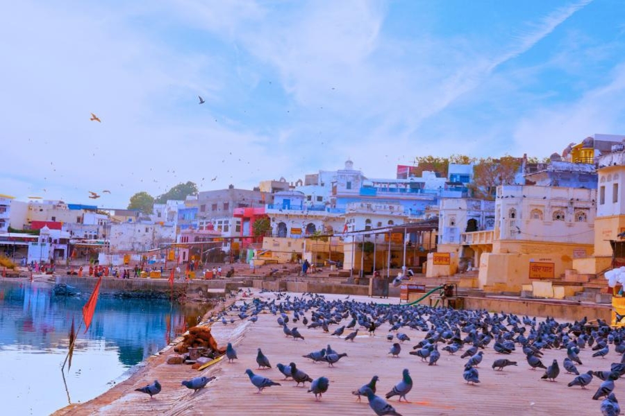 7 Days Golden Triangle Tour with Pushkar Tour