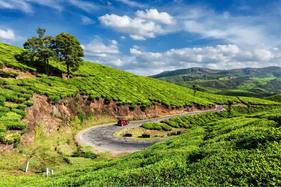 Munnar 3-Day Private Tour