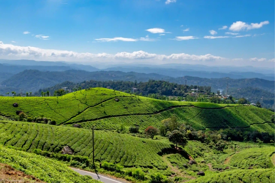 Munnar Thekkady Alleppey 5 Days