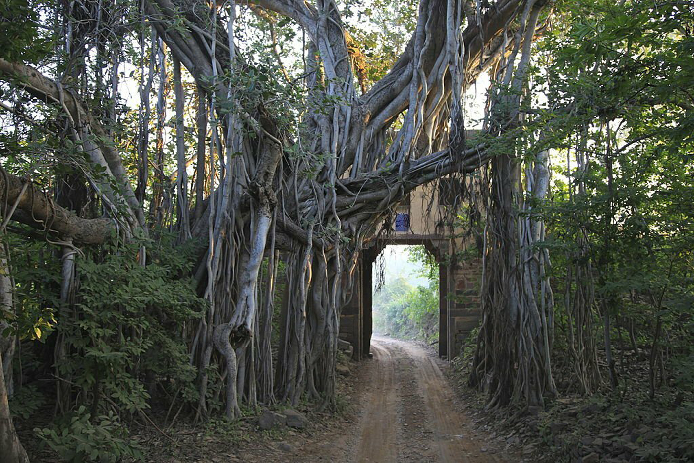 6 Days Luxury Golden Triangle Tour with Ranthambore Tiger Safari