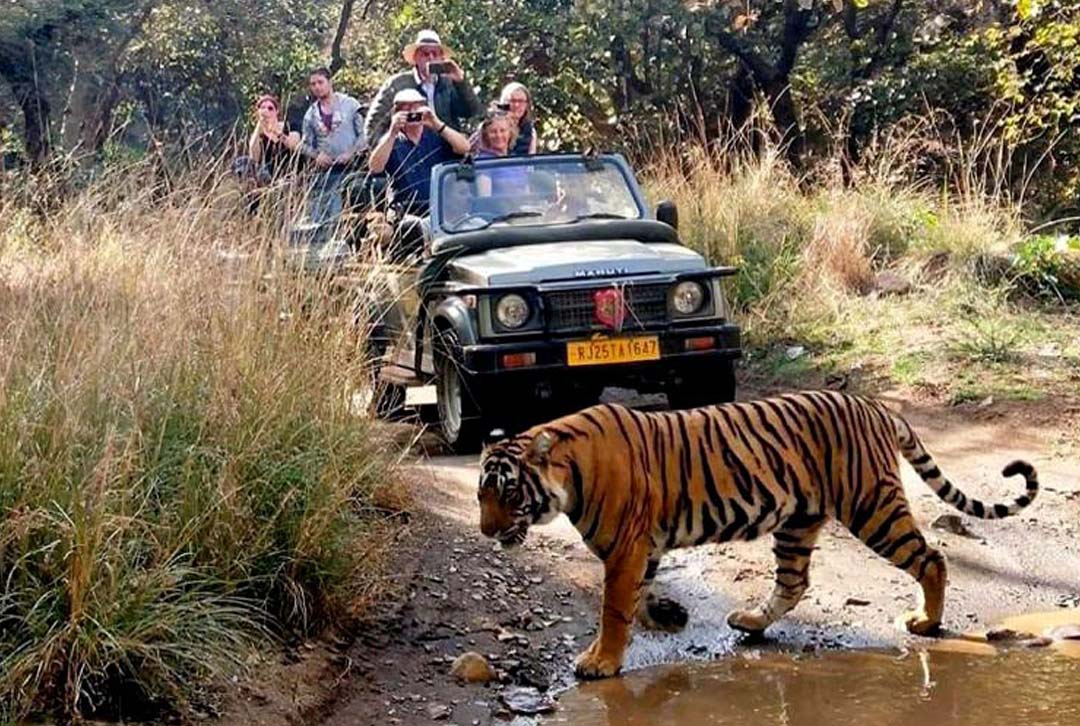 taj-mahal-wildlife-tour